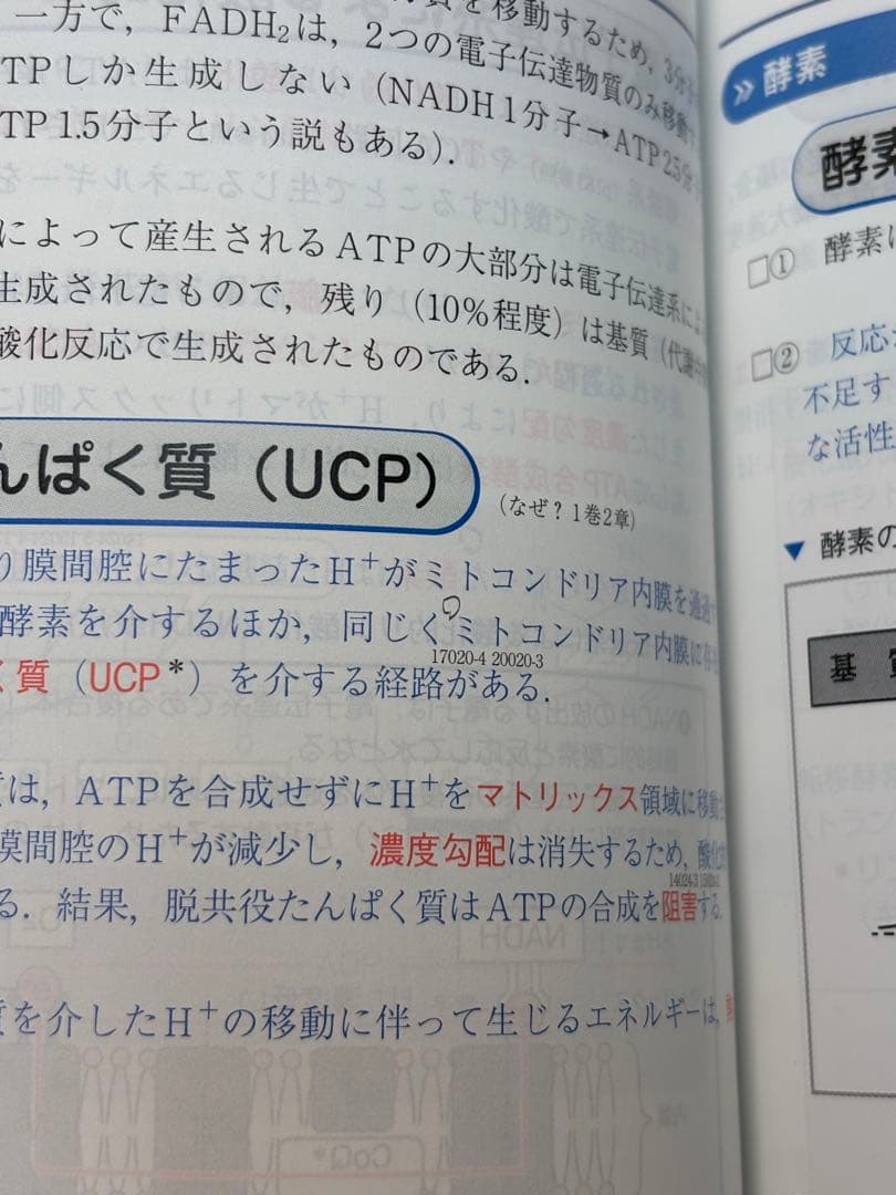 クエスチョン・バンク(QB) & レビュー ブック(RB)管理栄養士 2025
