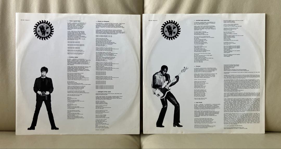 【LP】The Brand New Heavies-Brother Sister