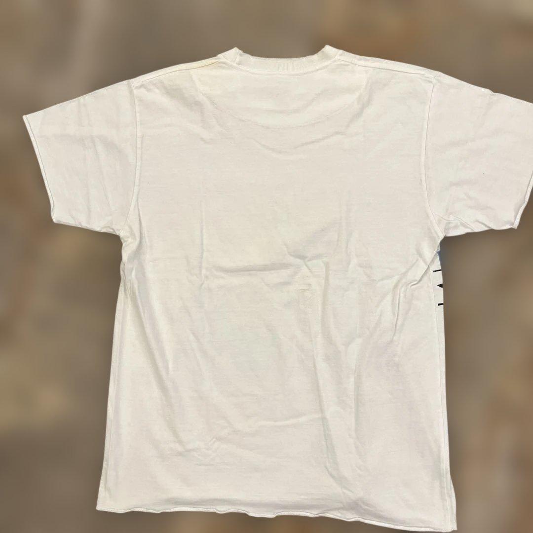 ブディストパンク　ダメージ加工　Tシャツ ストーンズ　キムタク