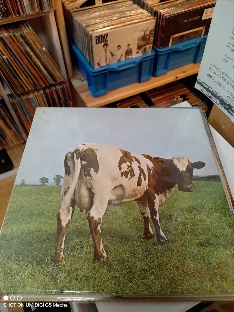 Pink Floyd ukオリジナル レコード