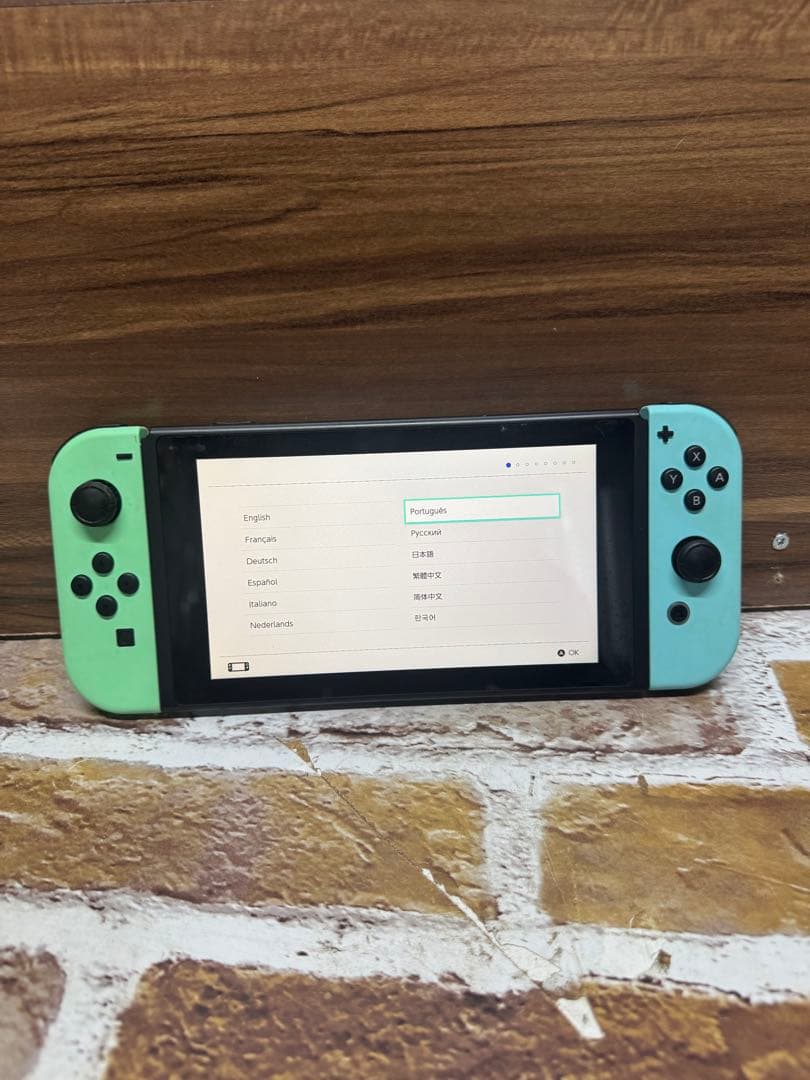カ*ン様 Nintendo Switch アニマルクロッシング特別版