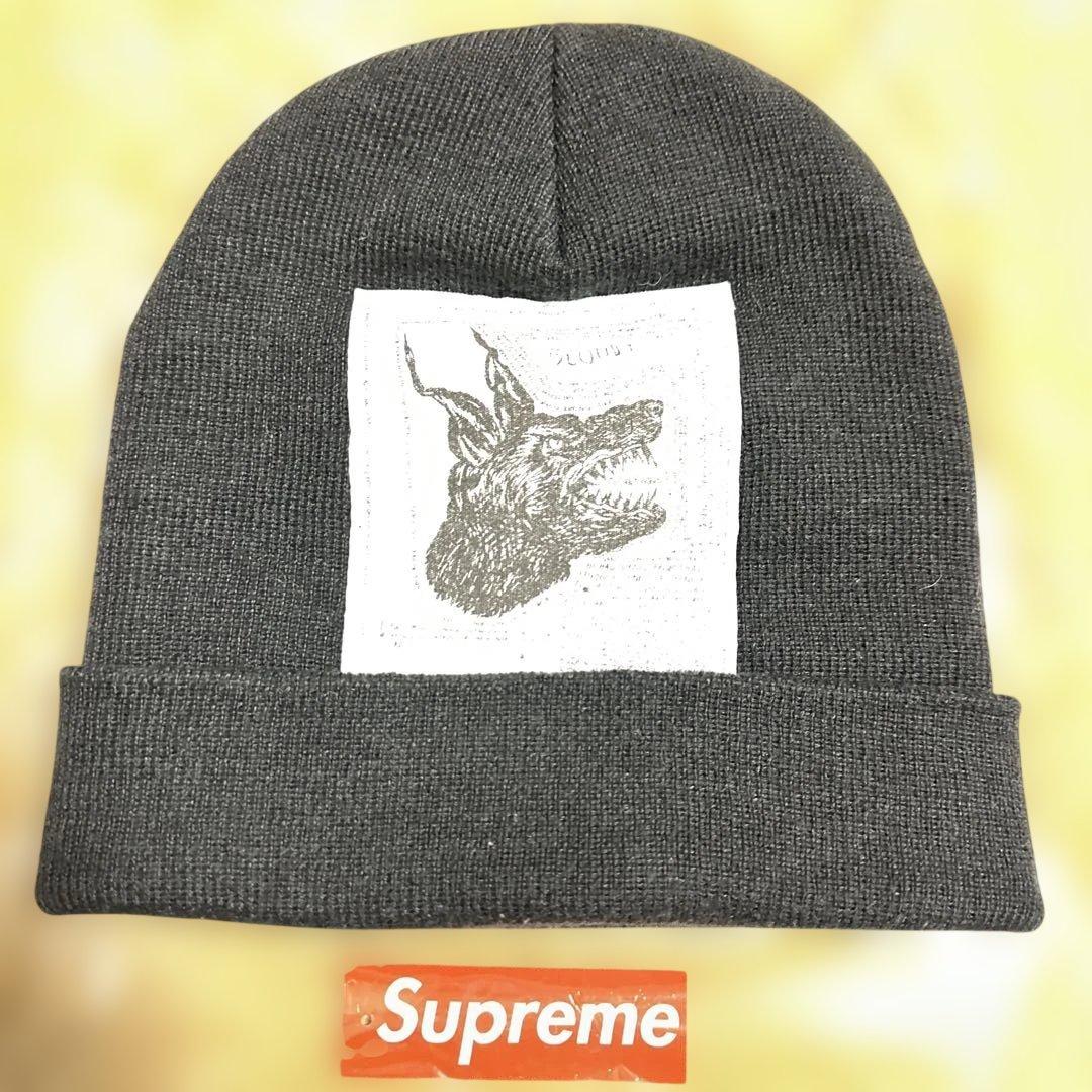 supreme NORTH FACE コラボ　ニット帽　ビーニー