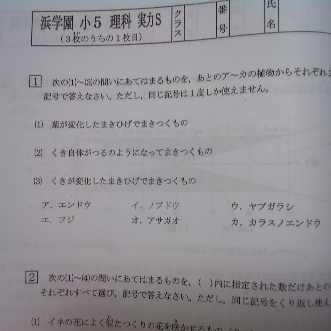 はな