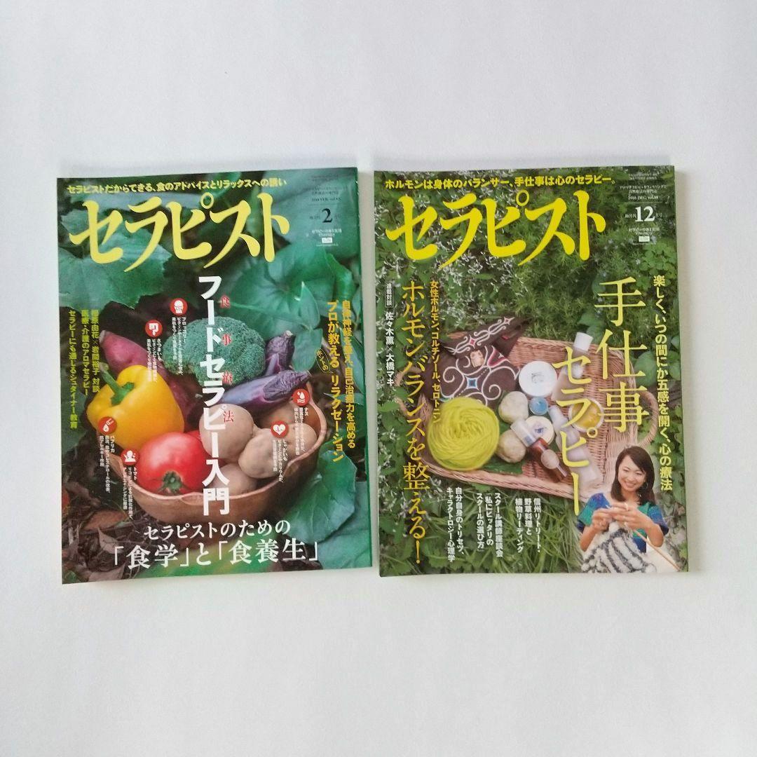 美品 セラピスト 13冊セット