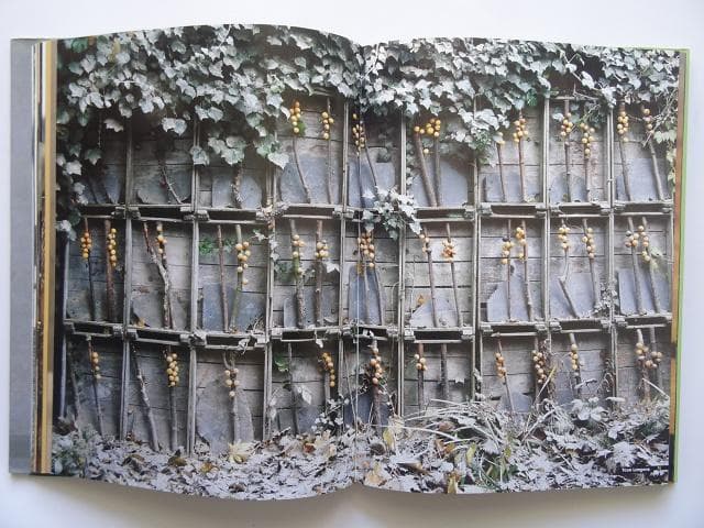 洋書◆オランダの花の傑作 作品写真集 本 植物