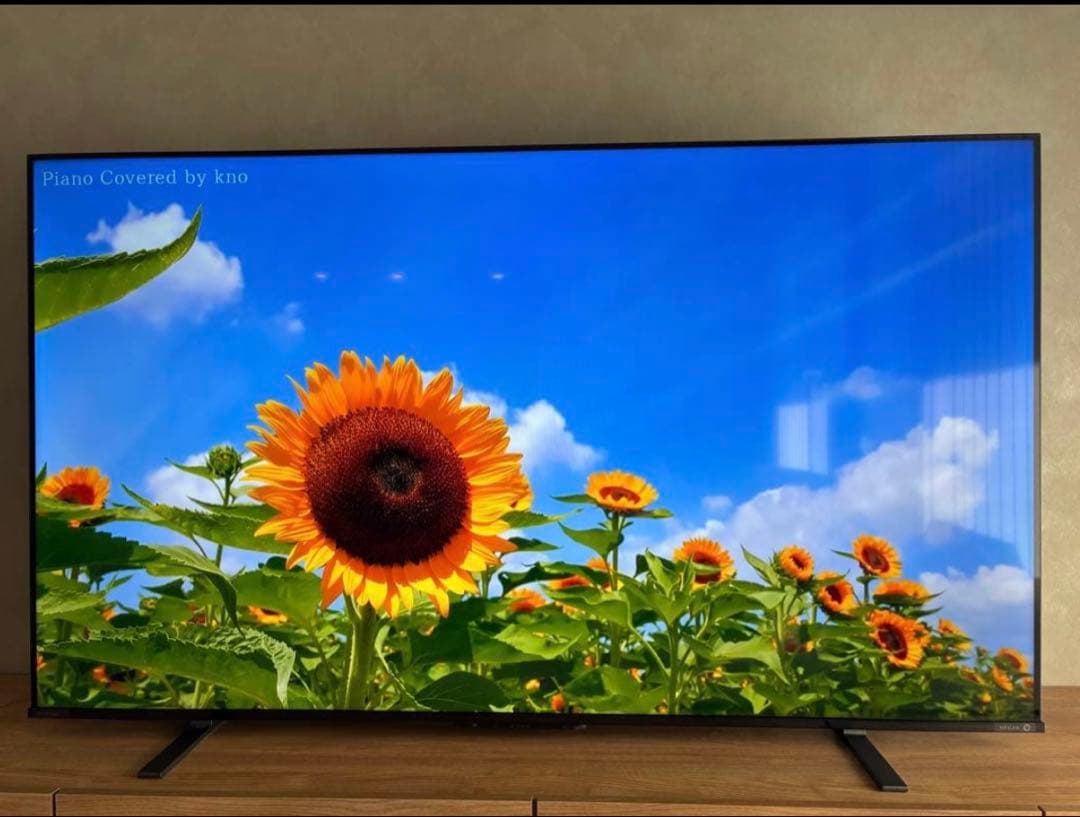 REGZA 65インチ　4K液晶テレビ