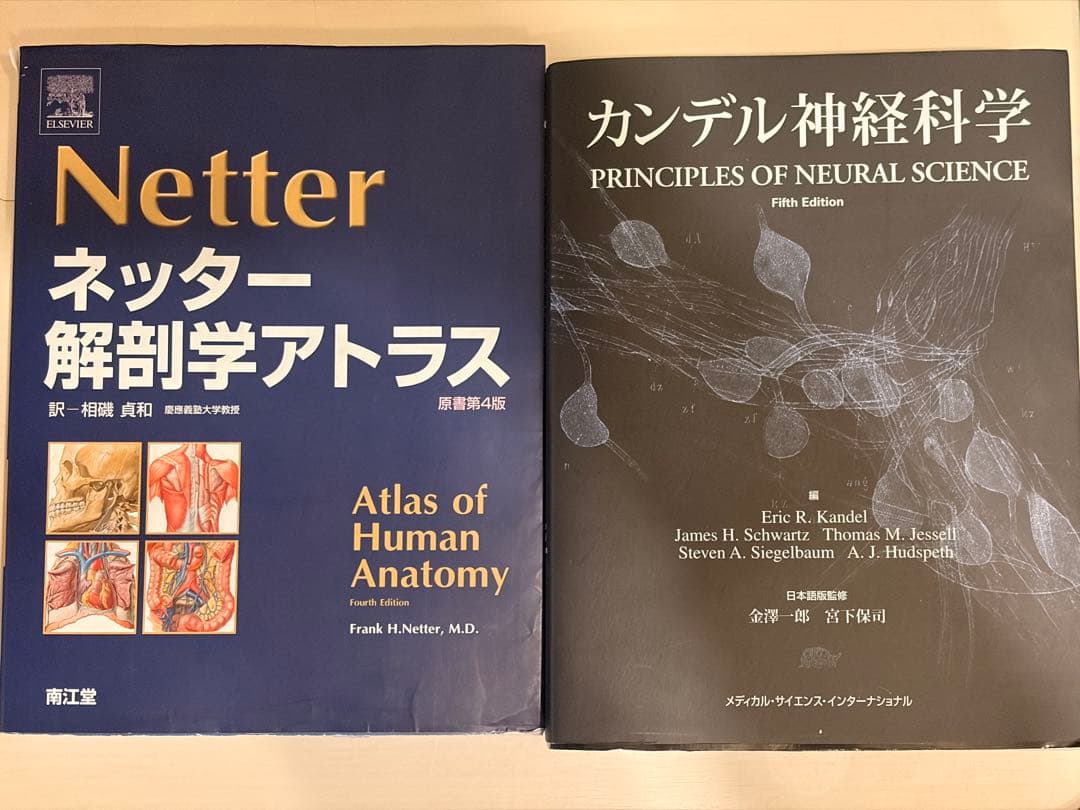 ネッター解剖学アトラス＋カンデル神経科学　2冊セット