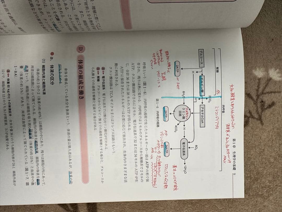 【17冊＋資料付】鍼灸師・あマ指 国家試験教科書フルセット（実技・主要科目網羅）