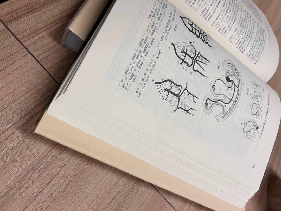 【新品未使用】 新編 家畜比較解剖図説 上下巻
