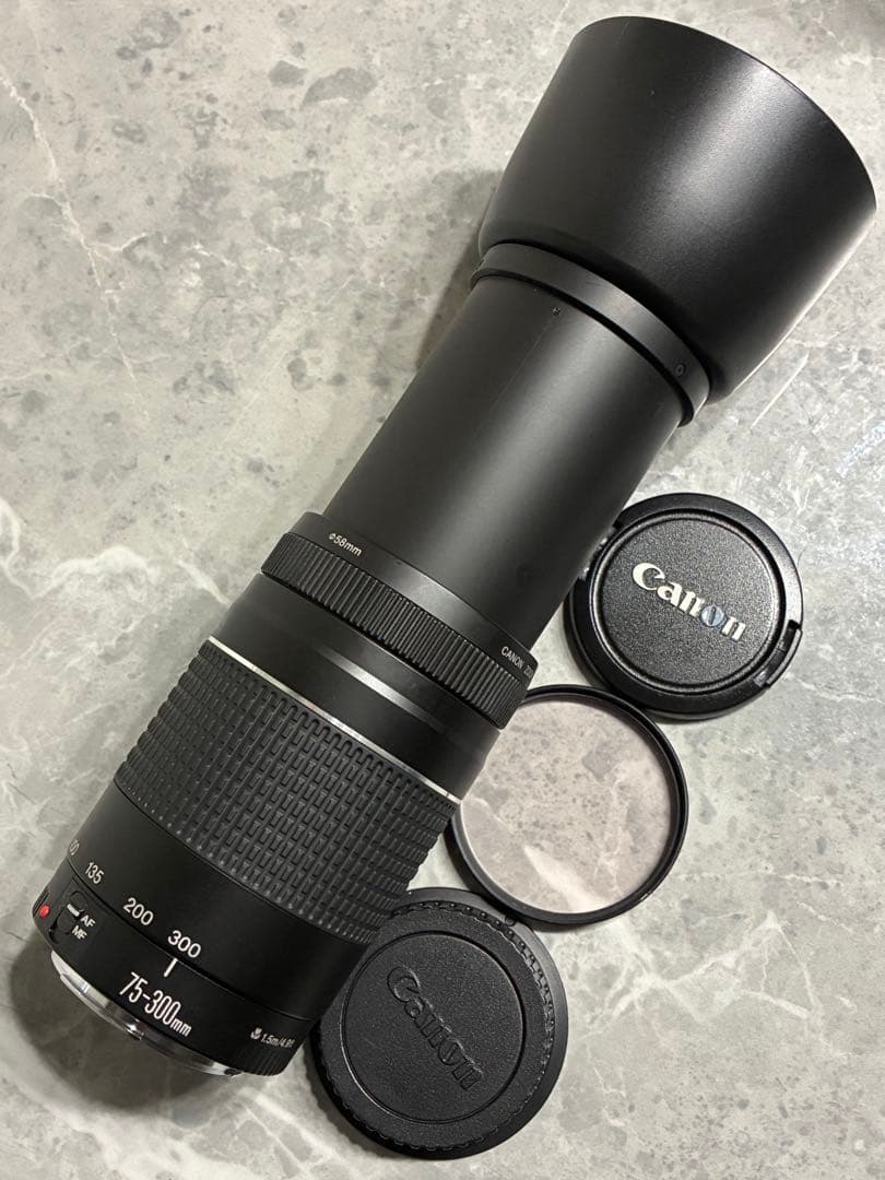 ⭐️美品⭐️ Canon EF 75-300mm F4-5.6 III 望遠レンズ