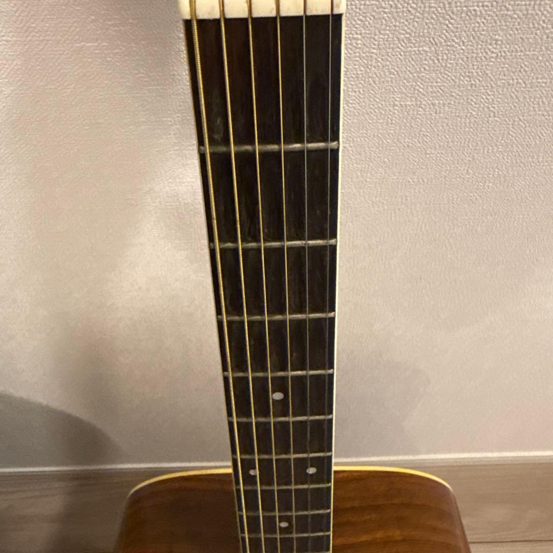 ギター　モーリス　W-28