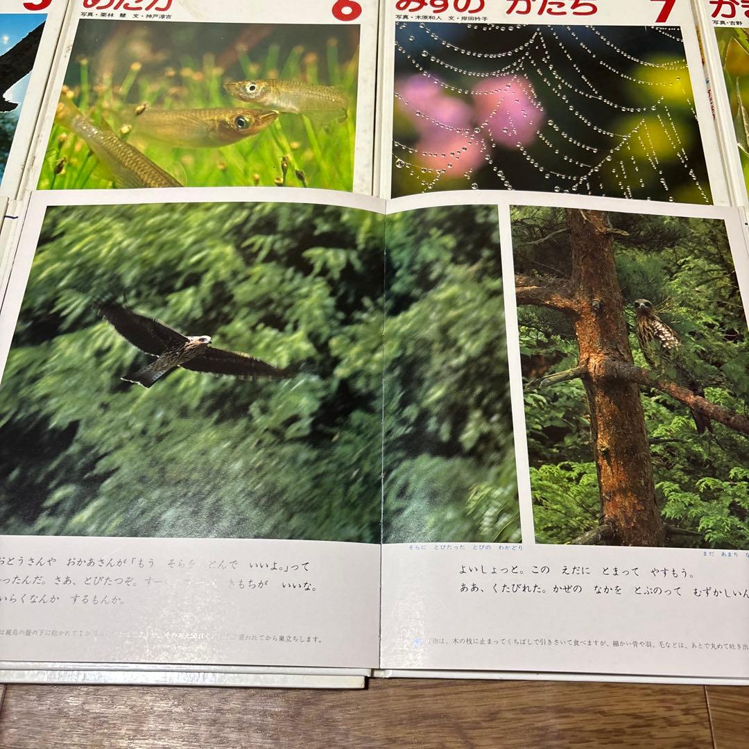 【昭和レトロ】しぜんのせかい　動物の絵本（図鑑）