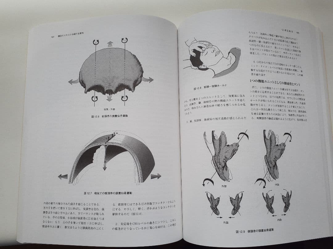 クラニオセイクラル・バイオダイナミクス VOL１（超美麗）