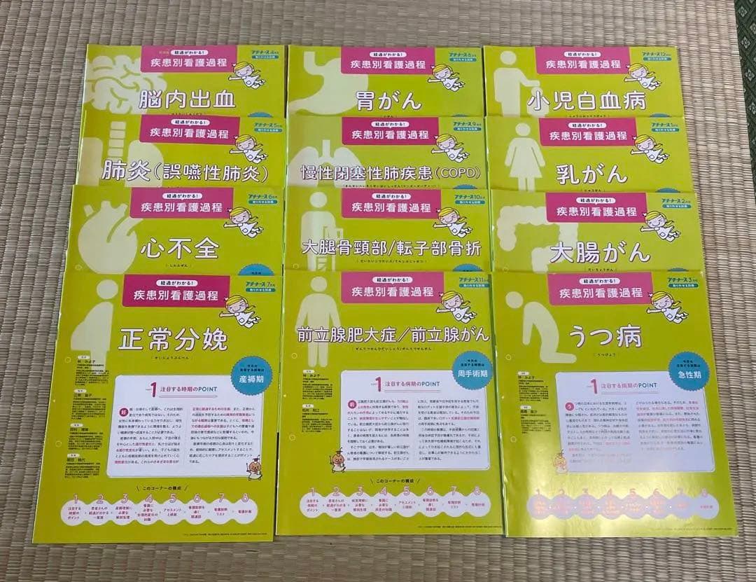 プチナース　雑誌と別冊付録のセット