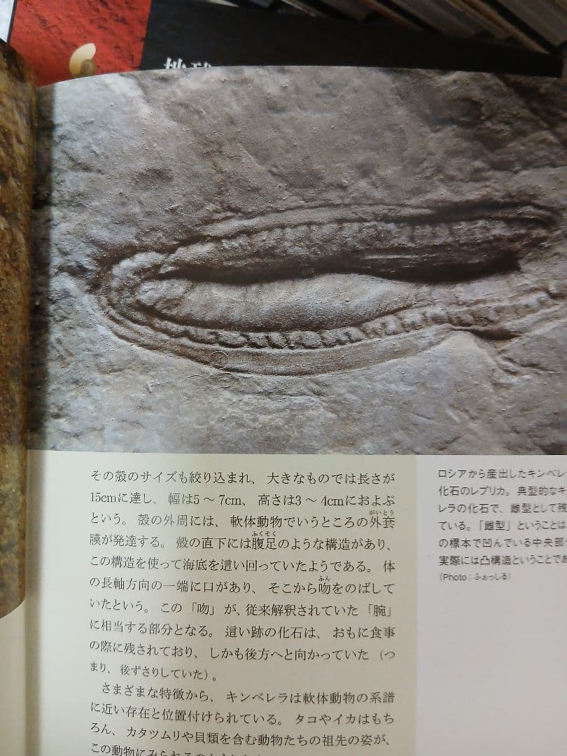 生物の歴史シリーズ 1-10巻 土屋健著