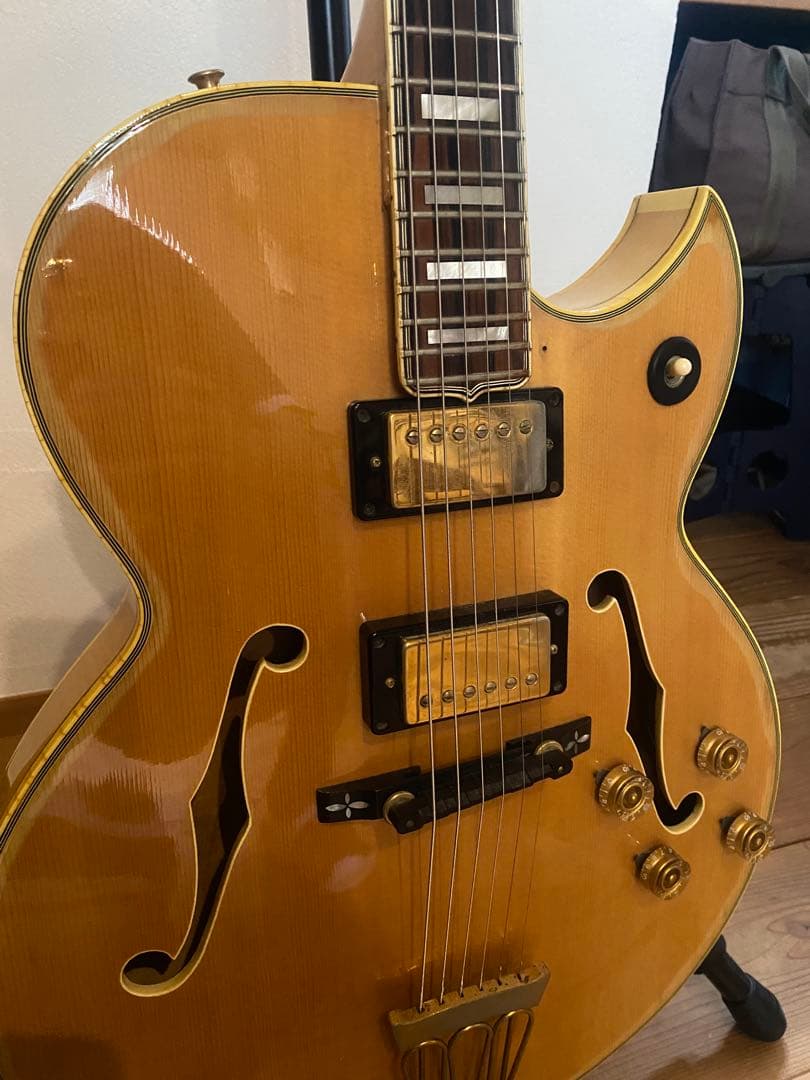 Greco / BR-110N Birdland ステッカーナンバードPAF搭載