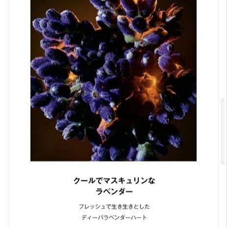 新品未使用　イヴ・サンローラン　リブレオーデパルファムフローラル　50ml