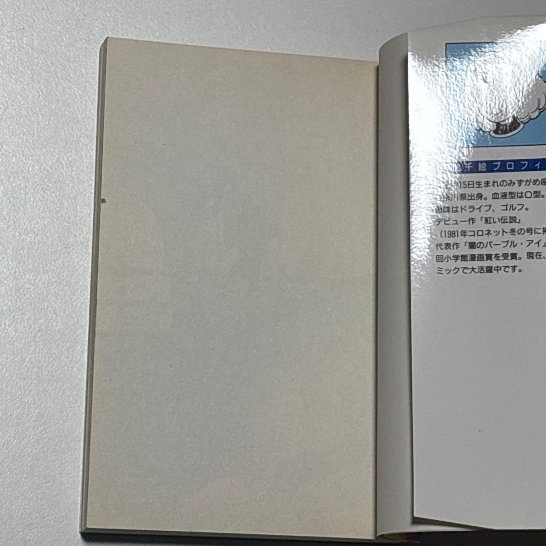 天は赤い河のほとり 天は赤い川のほとり 篠原千絵 全巻セット 全28巻＋関連本
