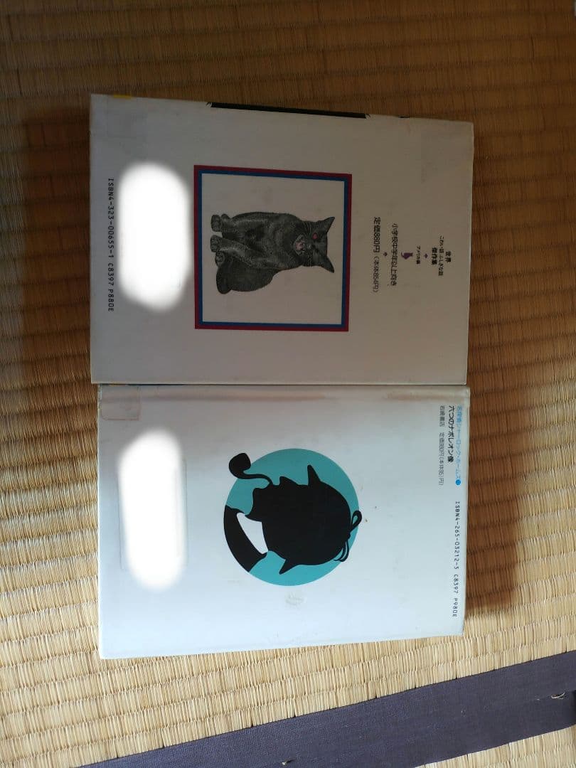 岩崎書店　名探偵シャーロック・ホームズシリーズ10冊＋金の星社「モルグ街の殺人」
