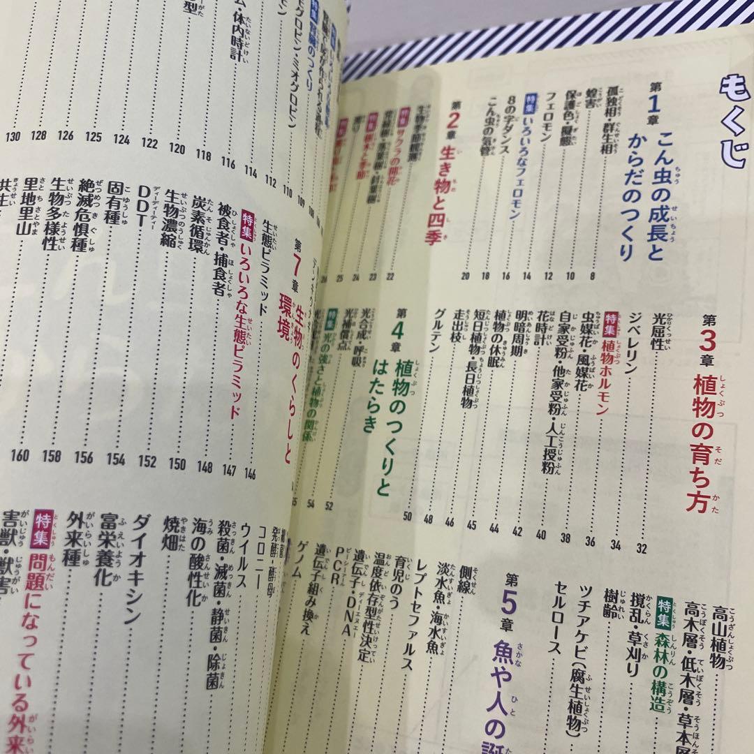 マンガでわかる!中学入試に役立つ教養 1-6
