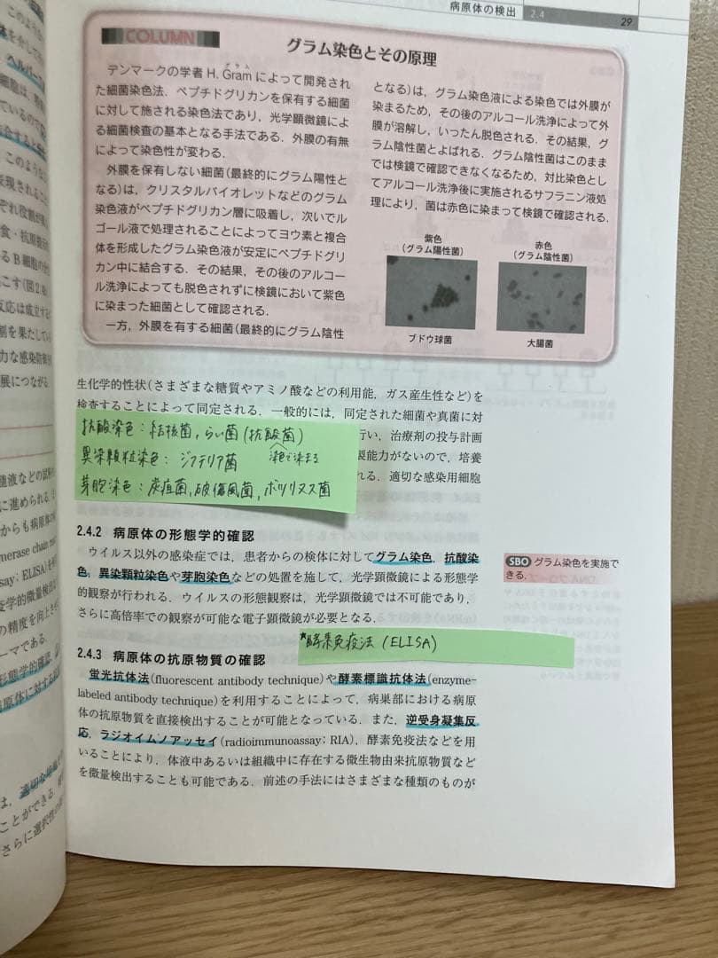 熊本大学 薬学部 教科書 4冊まとめ 単品等対応 書き込みあり 授業用 資格対策