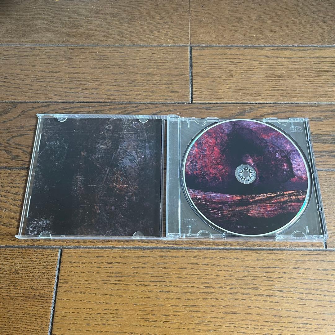 洋楽 Through the Eyes of the Dead