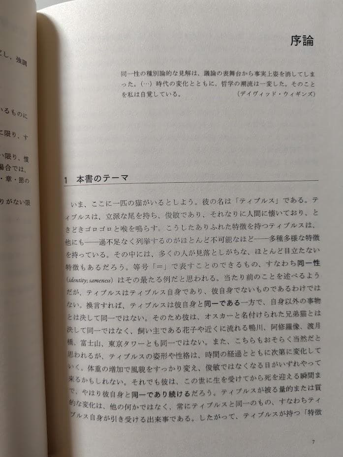 同一性と個体　種別概念に基づく統一理論に向けて