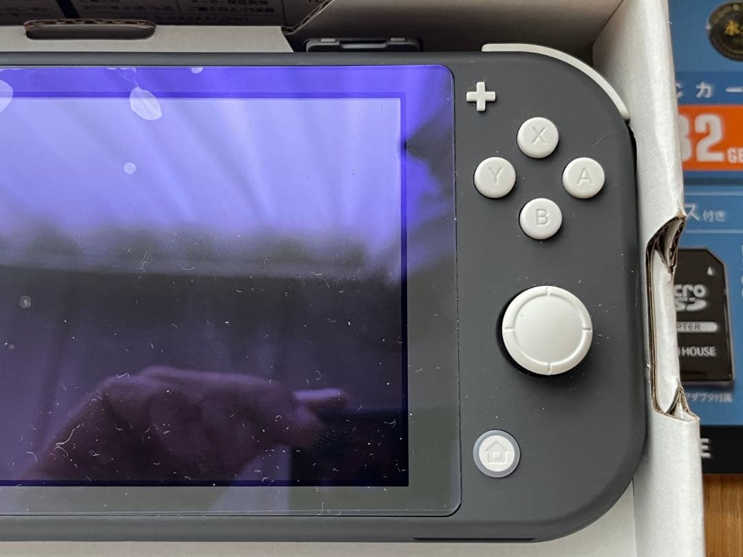 Nintendo Switch Lite グレー 本体➕おまけソフト1本付き