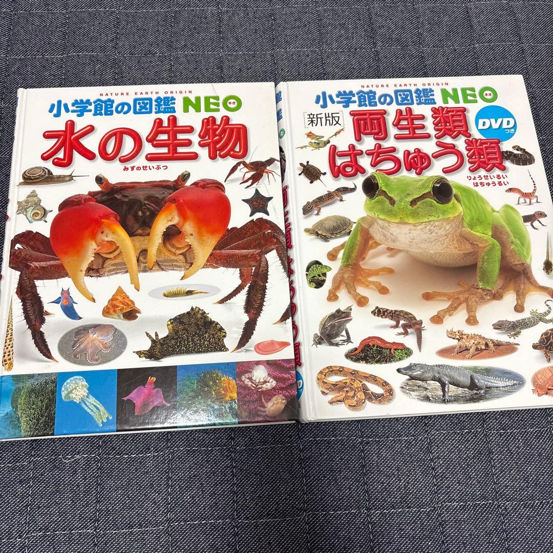 小学館の図鑑 NEO 学研の図鑑 LIVE 9冊まとめ売り