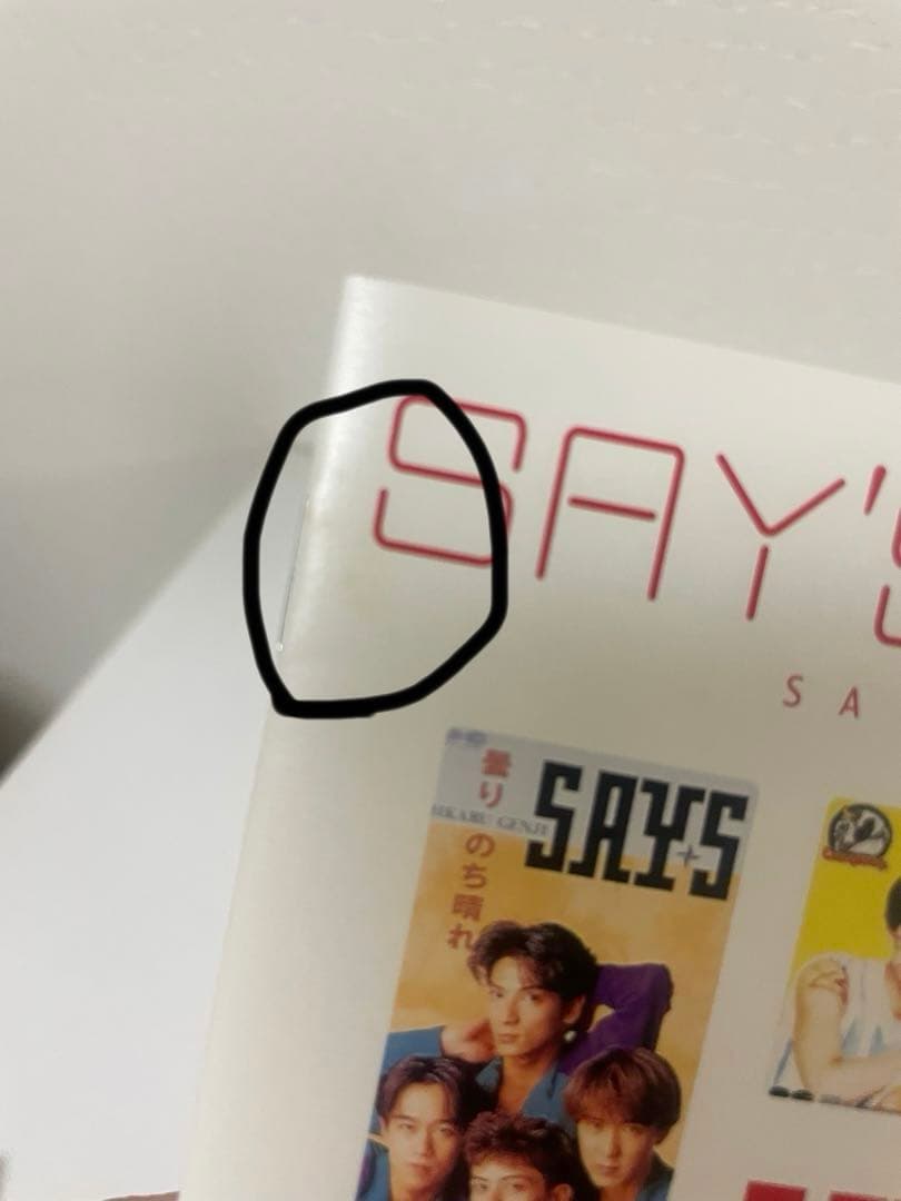 邦楽 SAY'S BEST