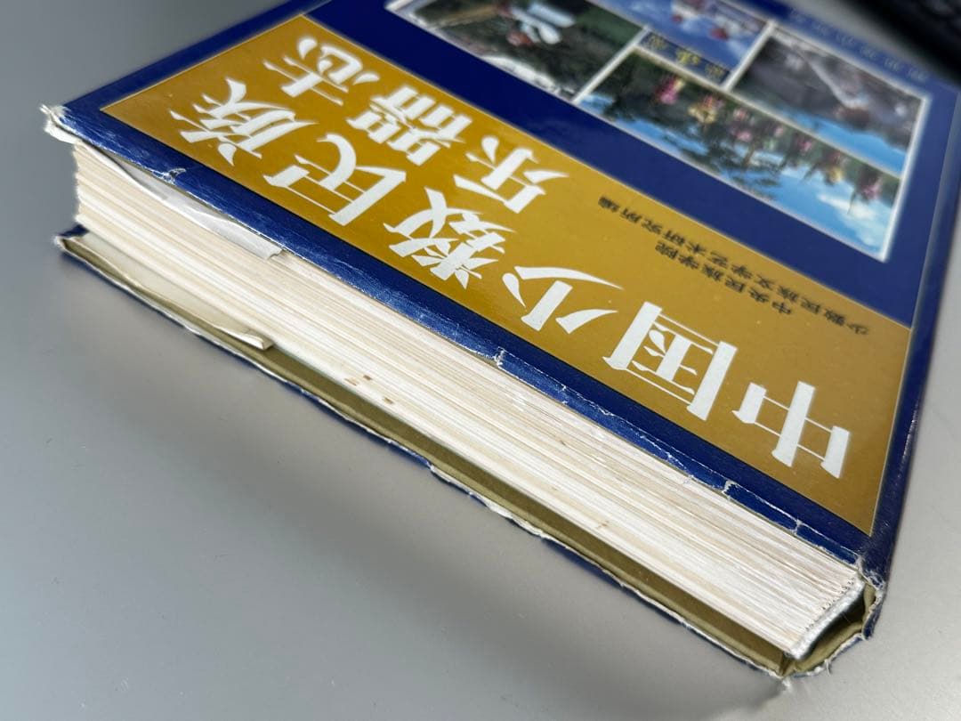 中国少数民族楽器志　民族音楽　楽器