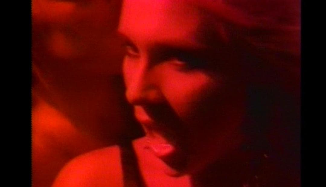Samantha Fox　The Music Video Collection