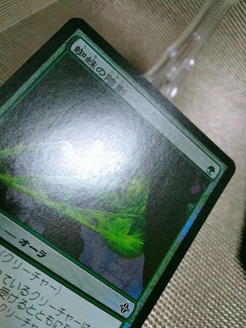 【ご確認用】エルドラージ覚醒 foil 蜘蛛の陰影 日本語 1枚　MTG
