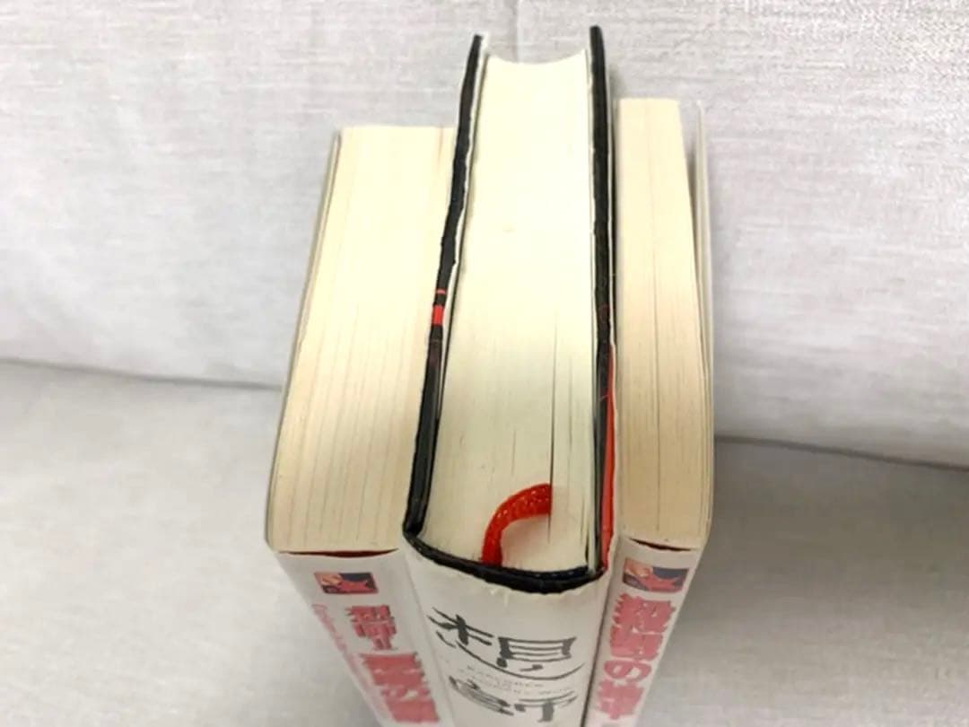まとめ売り！狂気太郎 灰崎抗【殺戮の地平】【想師】【想師II悪魔の闇鍋】３冊