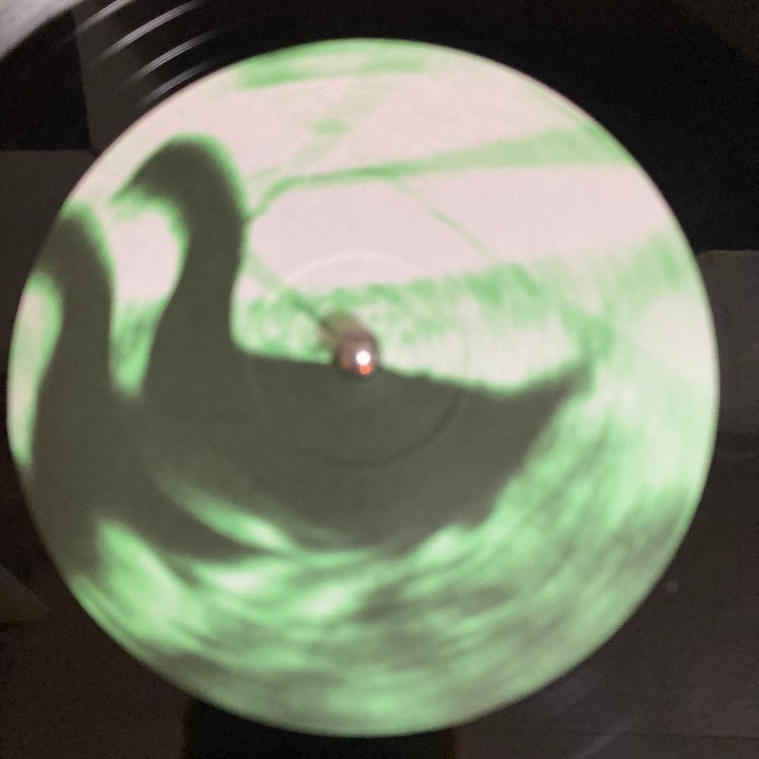 洋楽 Dodgy / grown