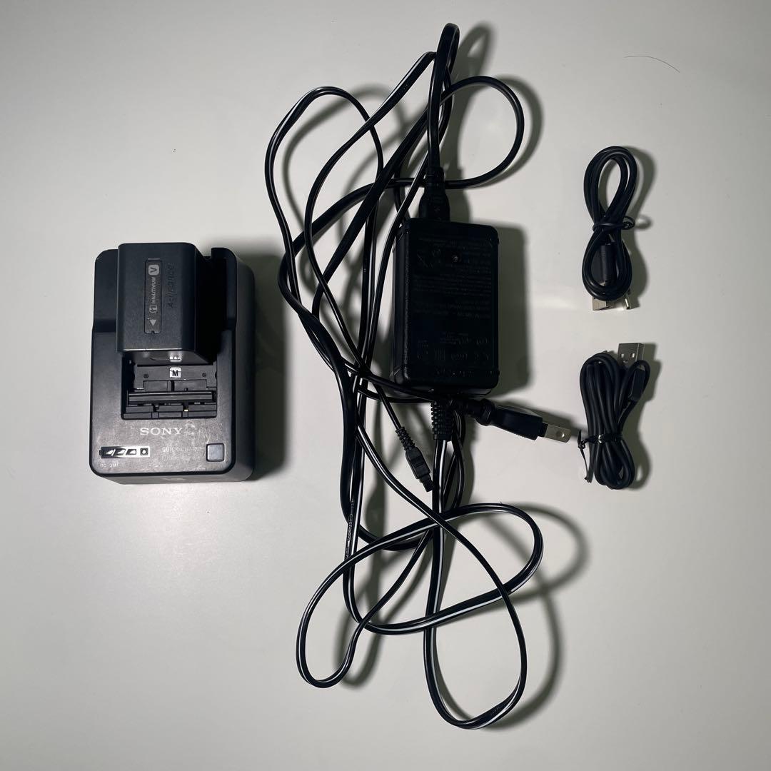 SONY FDR-AX60 ハンディカム