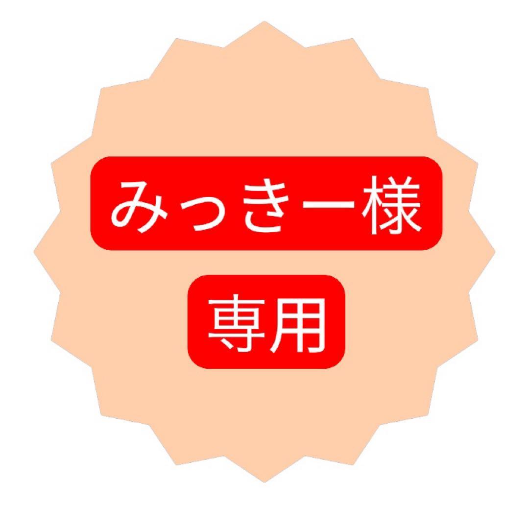 [専用] セルグレース スキンヴェール デイセラム 2本とルースパウダーレフィル