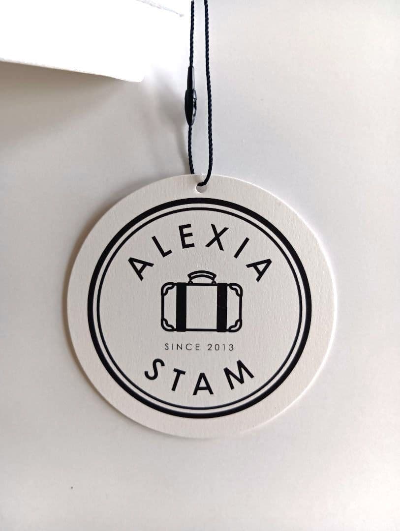 [未使用品] ALEXIA STAM アリシアスタン 水着 トップ S