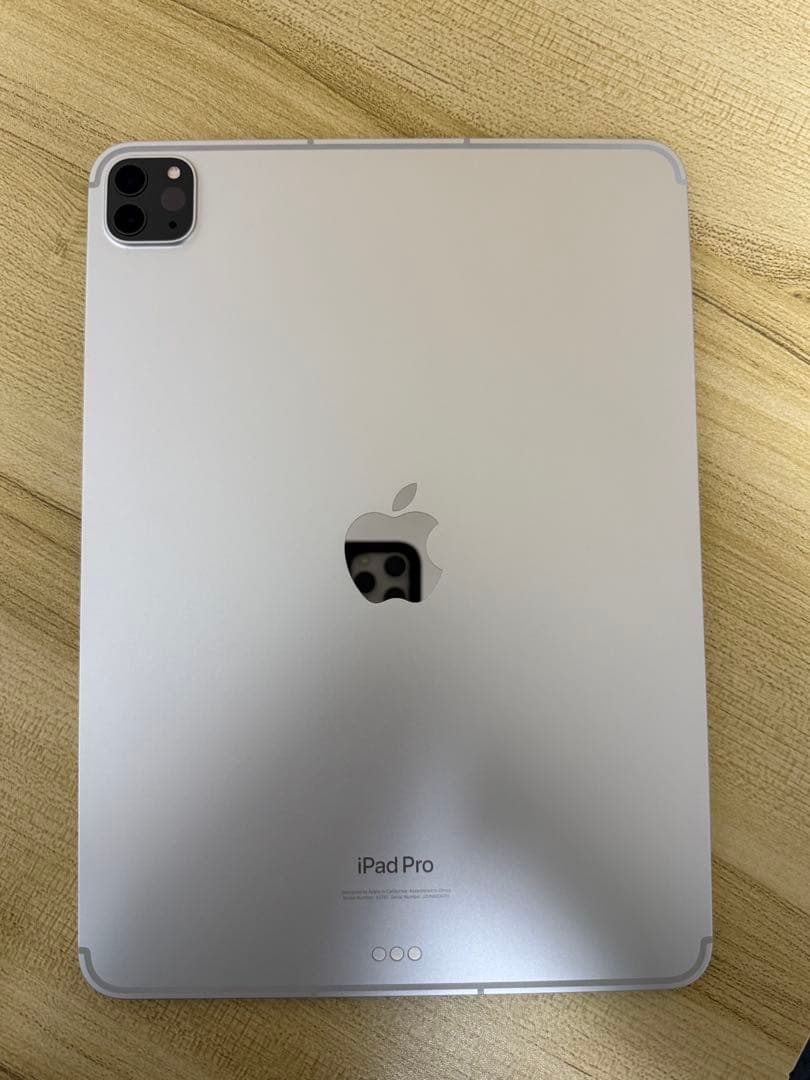 iPad Pro 第4世代 本体+Apple Pencil