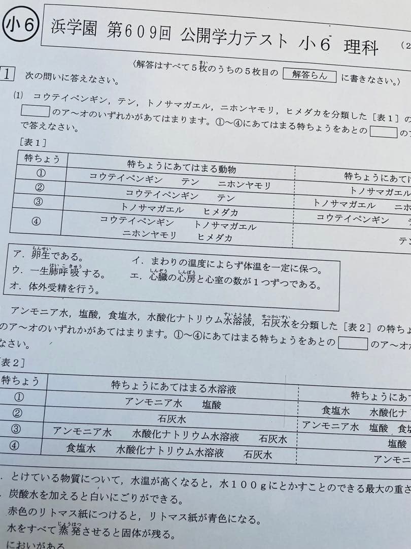2023年、2024年度 小6 浜学園 公開学力テスト 2年分 4科目