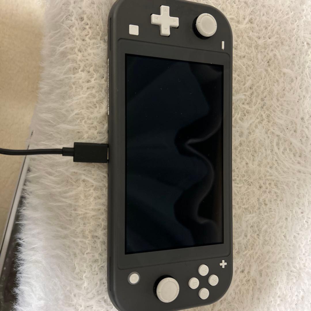 Switchライト本体＋カセットオマケ付