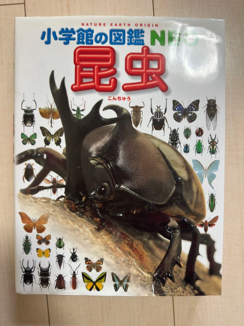 【図鑑】小学校の図鑑 NEO 【全9巻】