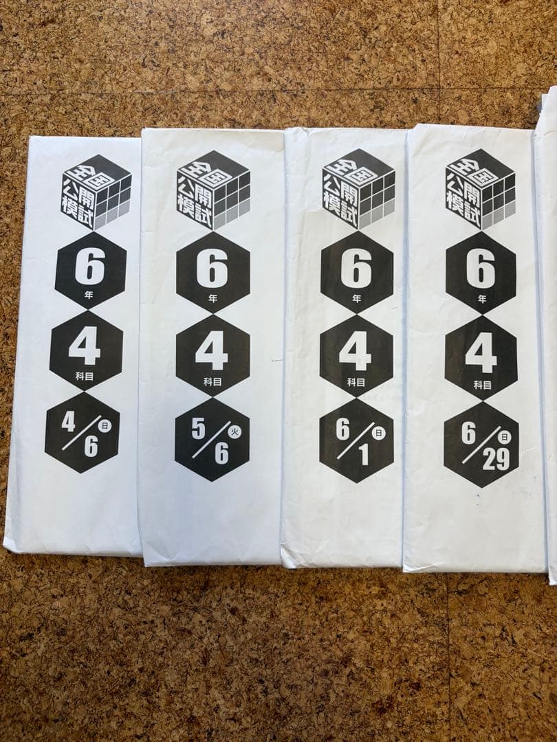 【日能研】6年　公開模試　4科(4月〜12月)9回分