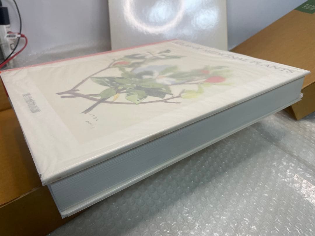希少 美品 薬用植物画譜 小磯良平 日本臨牀社 大型美術書 画集 外箱付