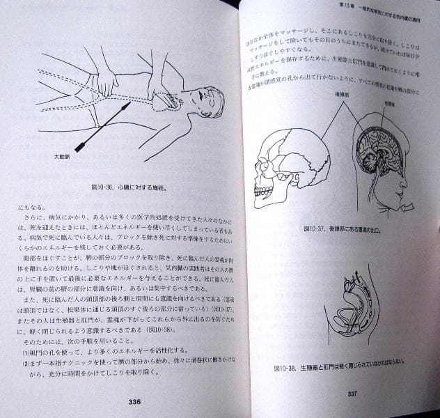 「気内臓療法」チネイザン ◇ 謝 明徳老師のヒーリング・タオ（帯津良一／監訳）