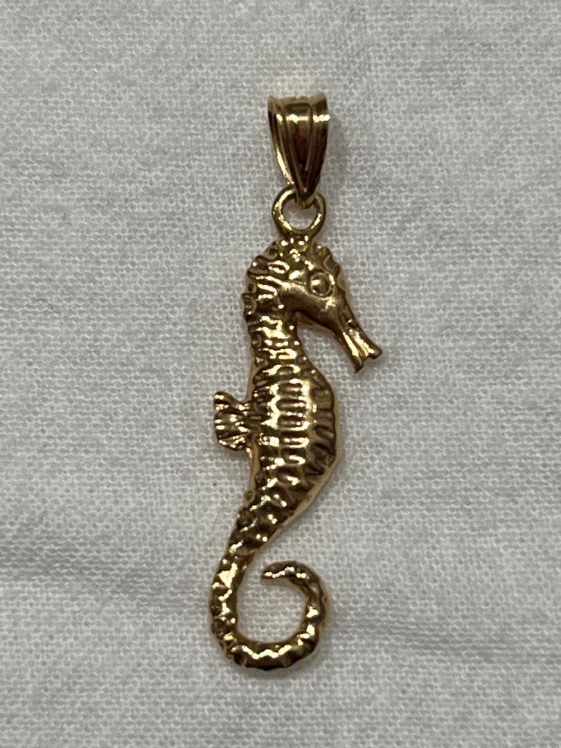 【本日セール】Supreme Seahorse Gold Pendant トップ