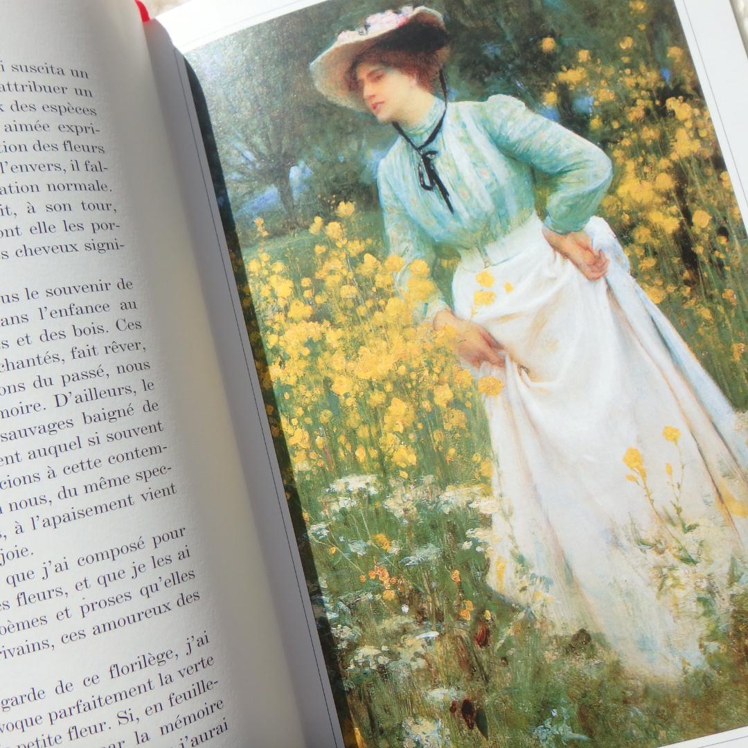 Le Langage des Fleaurs Sauvages　花言葉　仏語洋書
