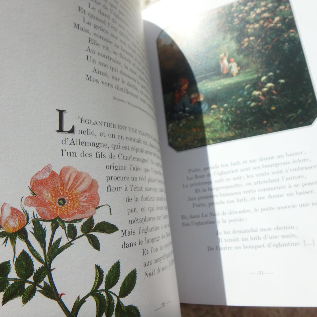 Le Langage des Fleaurs Sauvages　花言葉　仏語洋書