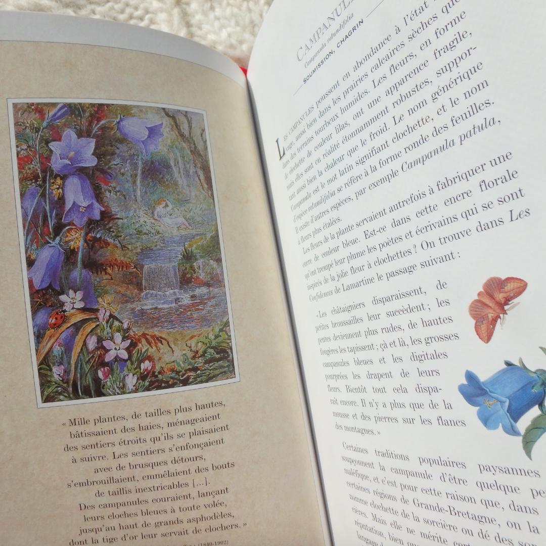 Le Langage des Fleaurs Sauvages　花言葉　仏語洋書