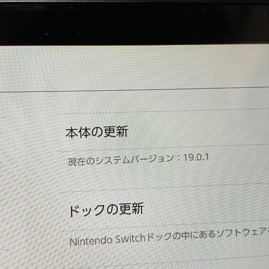 ニンテンドースイッチ 旧型 2018年 本体のみ 動作OK 任天堂 ゲーム機